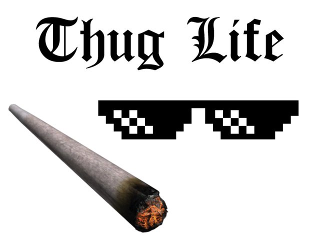 thug life 2pac.jpg