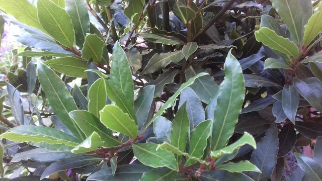 20180712_150253.jpg