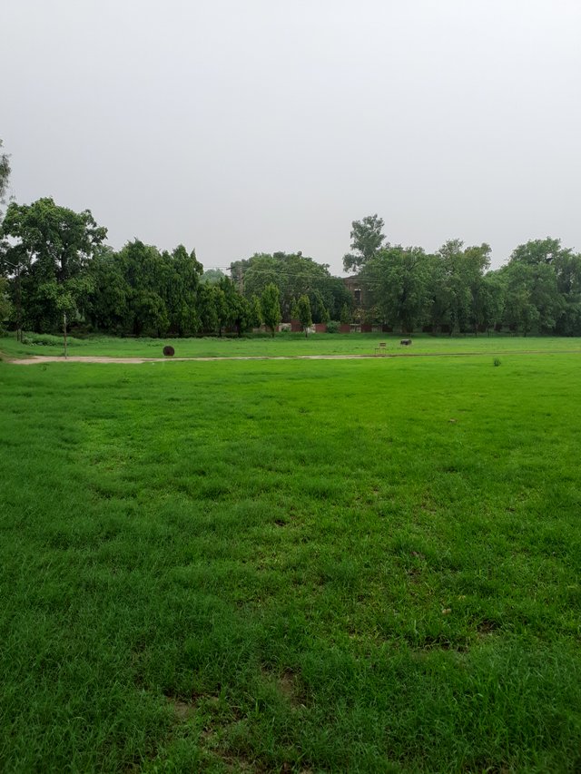 20250714_141925.jpg