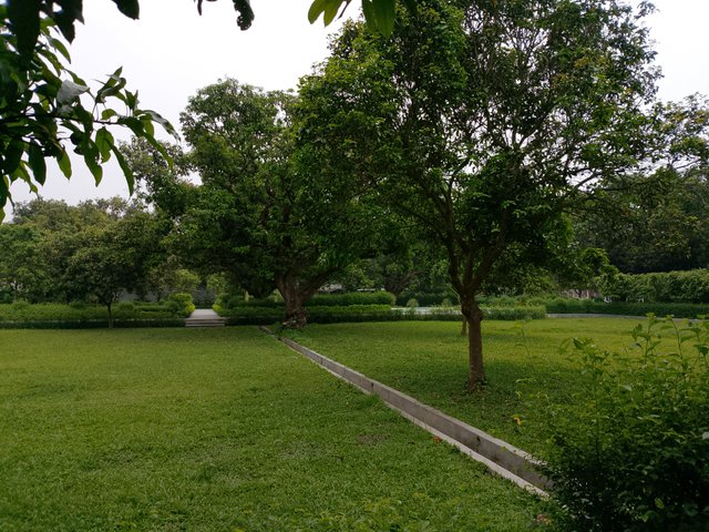 1000035792.jpg