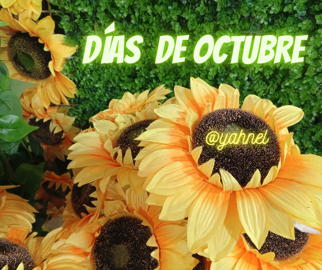 Días de_20251003_091250_0000.png