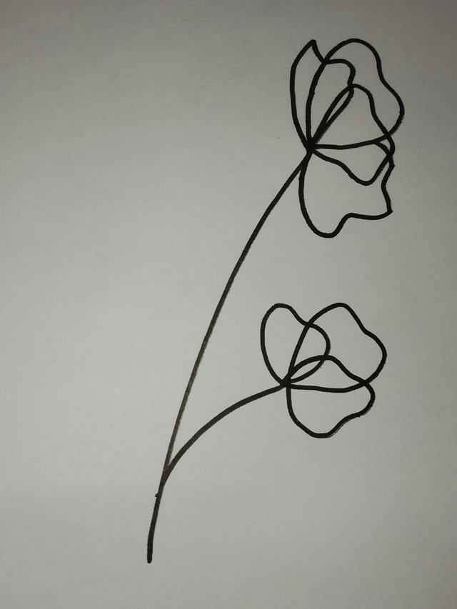 IMG20250720195449.jpg