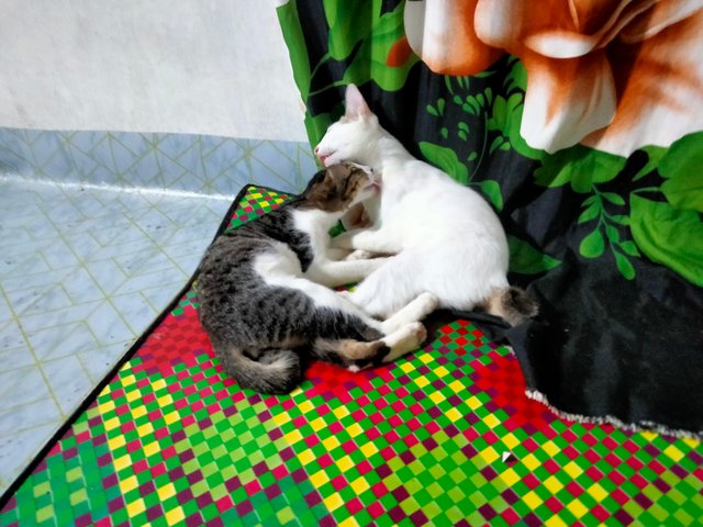 IMG20250701220519.jpg
