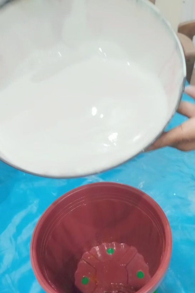 IMG_20250816_163857.jpg