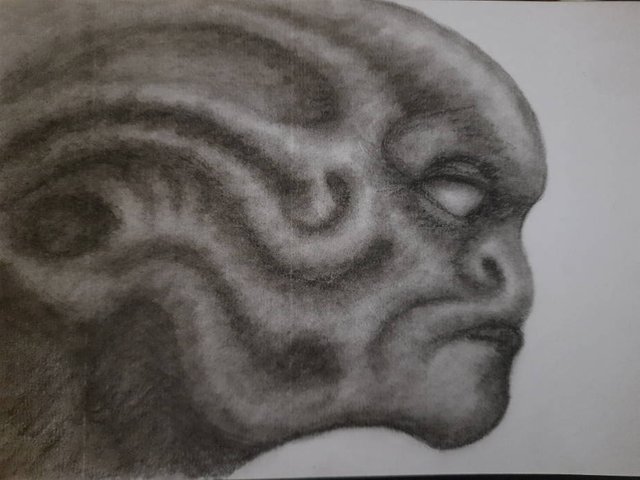 20250625_113052.jpg