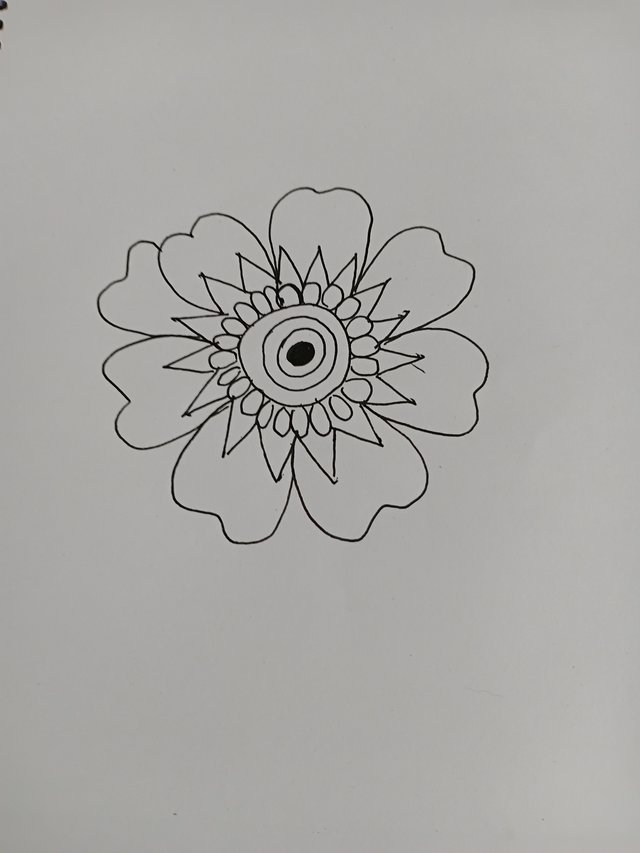 6437.jpg