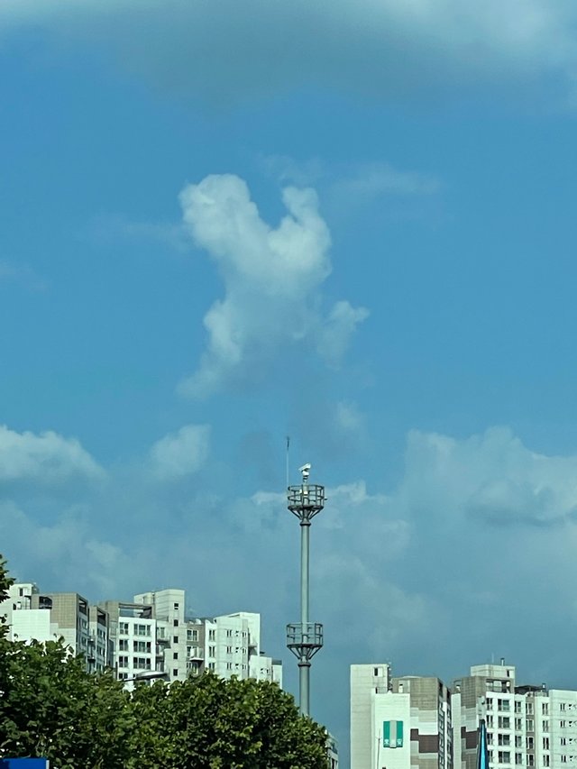 IMG_7832.jpeg