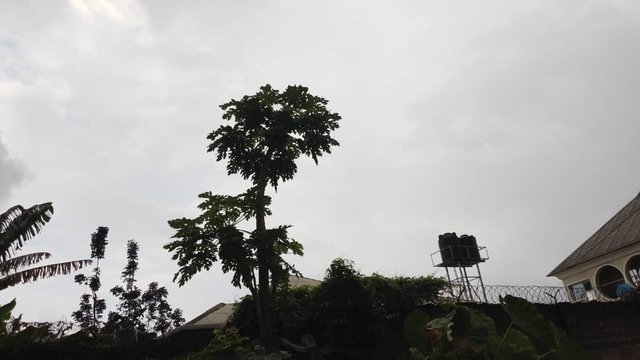 1000046316.jpg