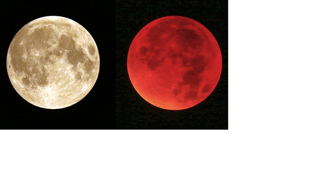 bloodmoon.png