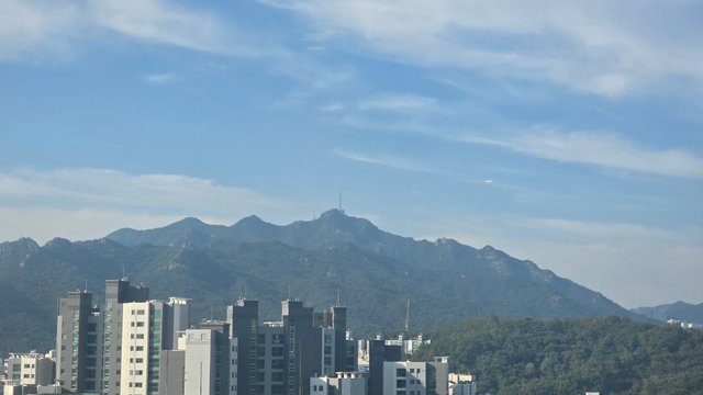 1000133438.jpg