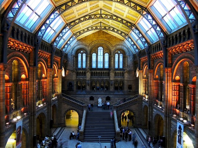 Natural History Museum.jpg