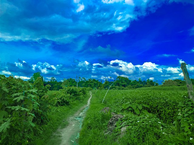 LMC_20250705_142922_Radial Blur 🔥 by Light Editz.jpg