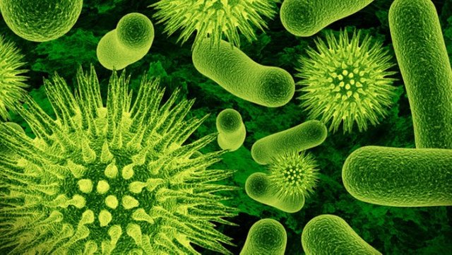 antibiotic-resistant-bacteria.jpg