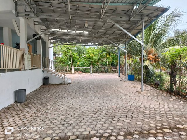 IMG20250903090714.jpg