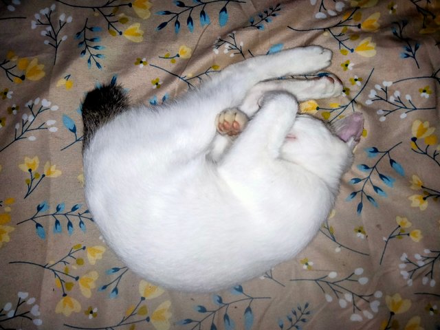 IMG20250525134824.jpg