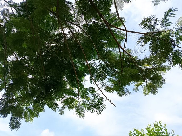1000047515.jpg