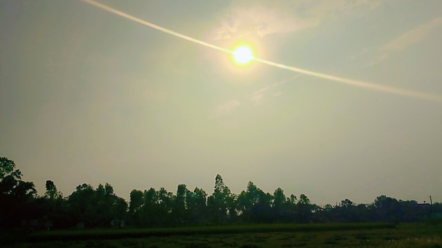 1000016584.jpg
