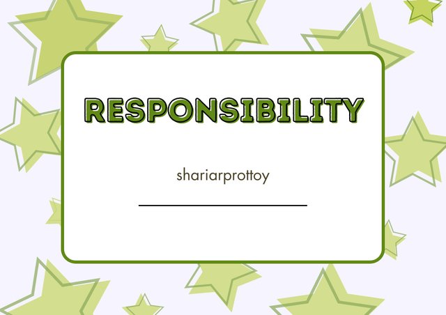 Green Grey Star themed Responsibility Student Achievement Award .jpg