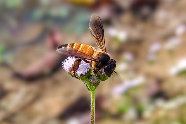 20250224_095406~2.jpg