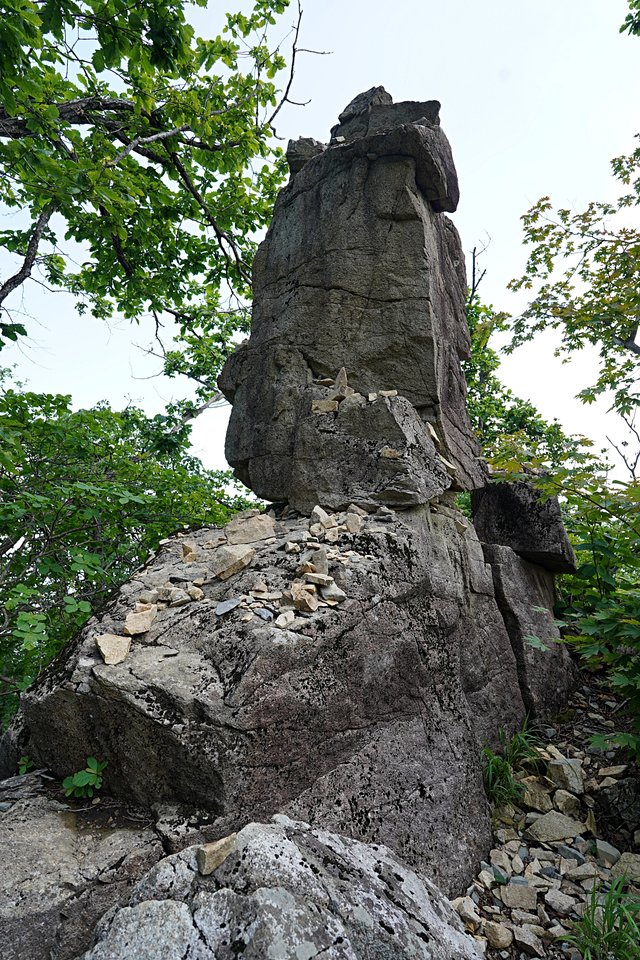 b-DSC07414.JPG