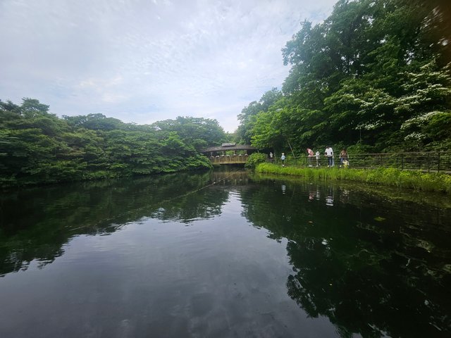 20250607_111626.jpg