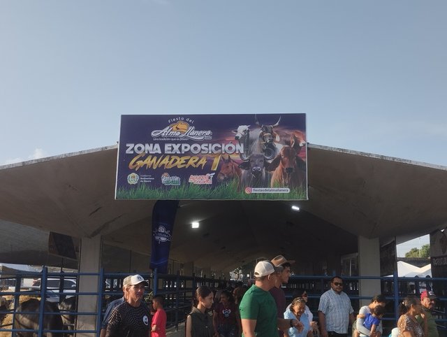 IMG_20250411_172620.jpg