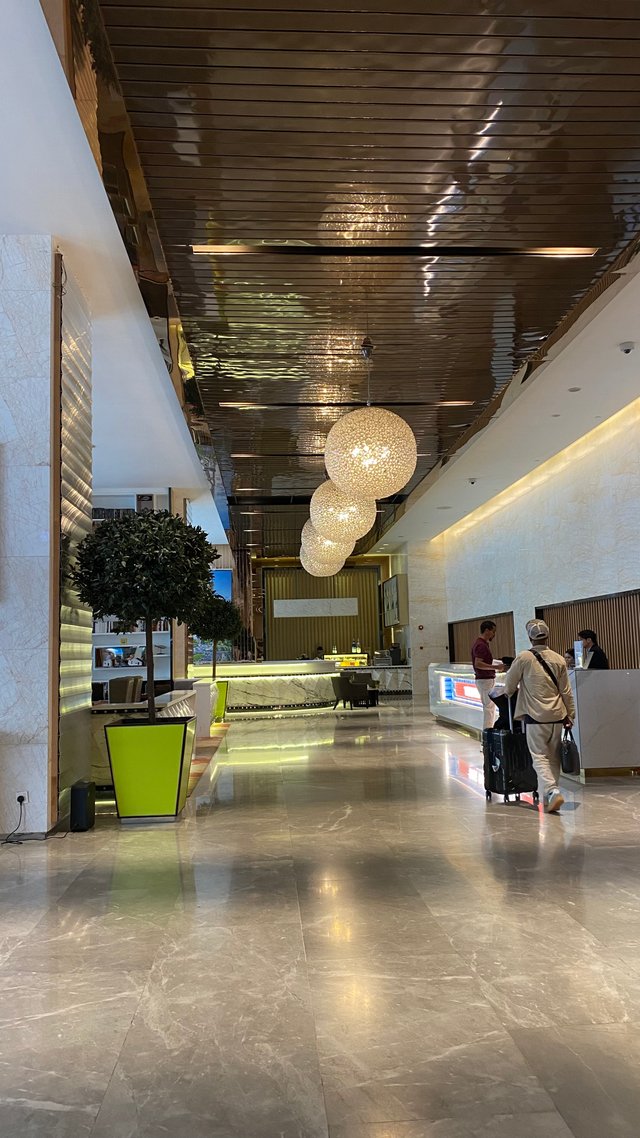 IMG_7996.jpeg