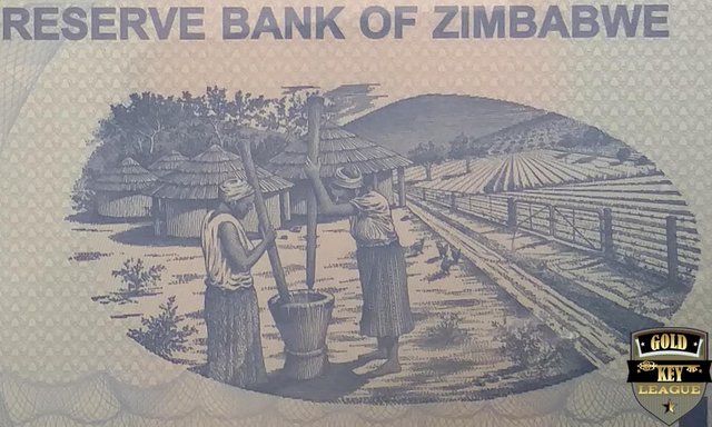 GK_CC_Indigo_Money_Zim_0.jpg