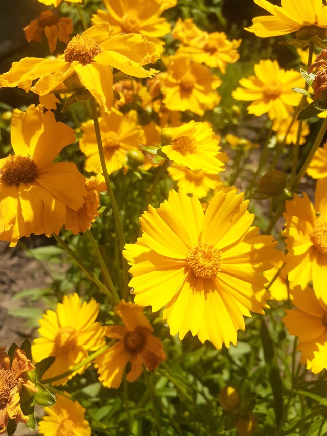 20220615_113951.jpg