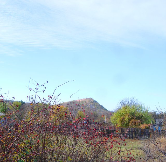 DSC03355.JPG