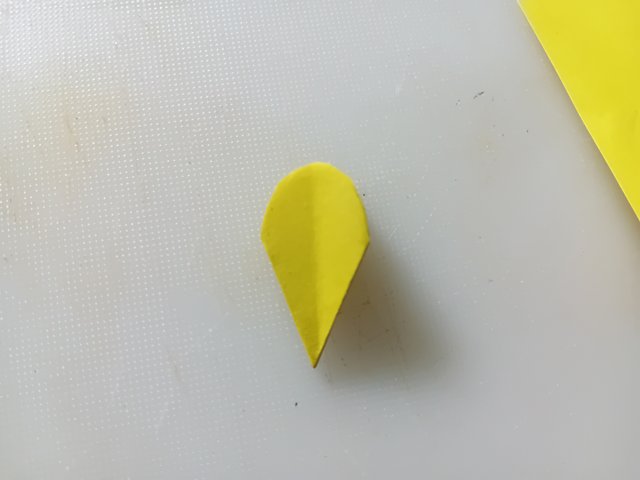 1000038560.jpg