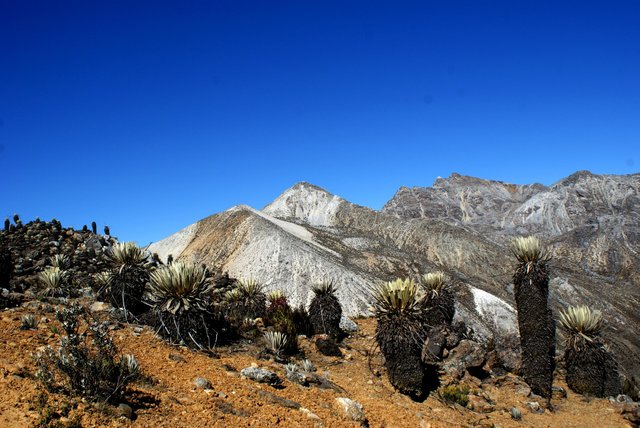 Picos Mucumamo y Piedras Blancas, Sierra de la Culata.jpg