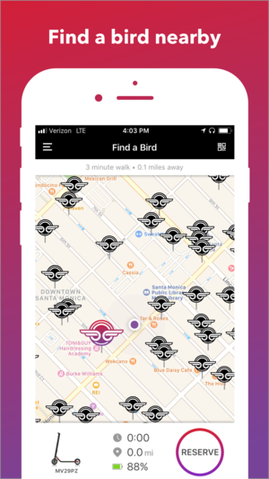 bird app map.png