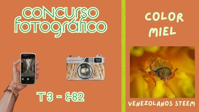 Concurso fotográfico (23).jpg