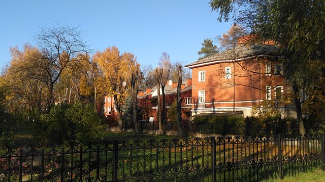 IMG_20211012_160330.jpg