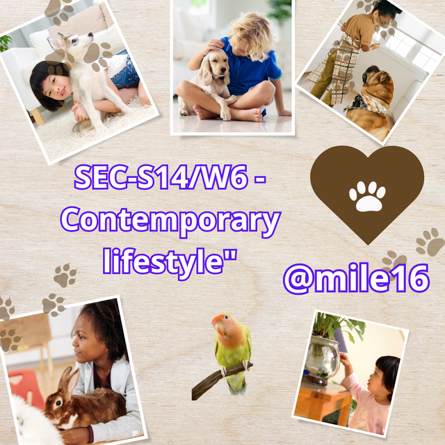 SEC-S14W6 - Contemporary lifestyle_20240103_002918_0000.png