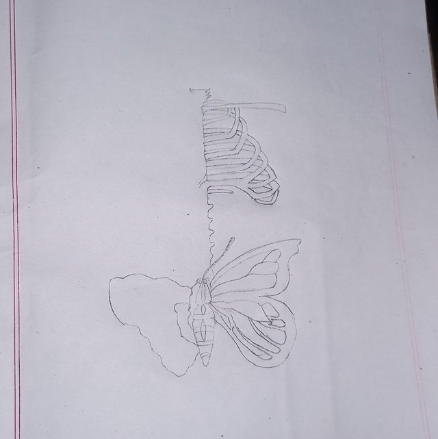 20251004_224556.jpg