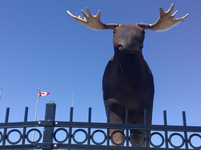 Moose Jaw Mac e.jpg