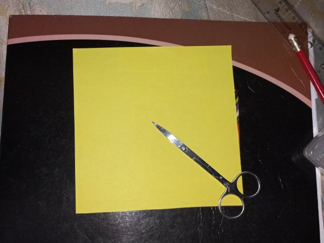 20250427_184541.jpg