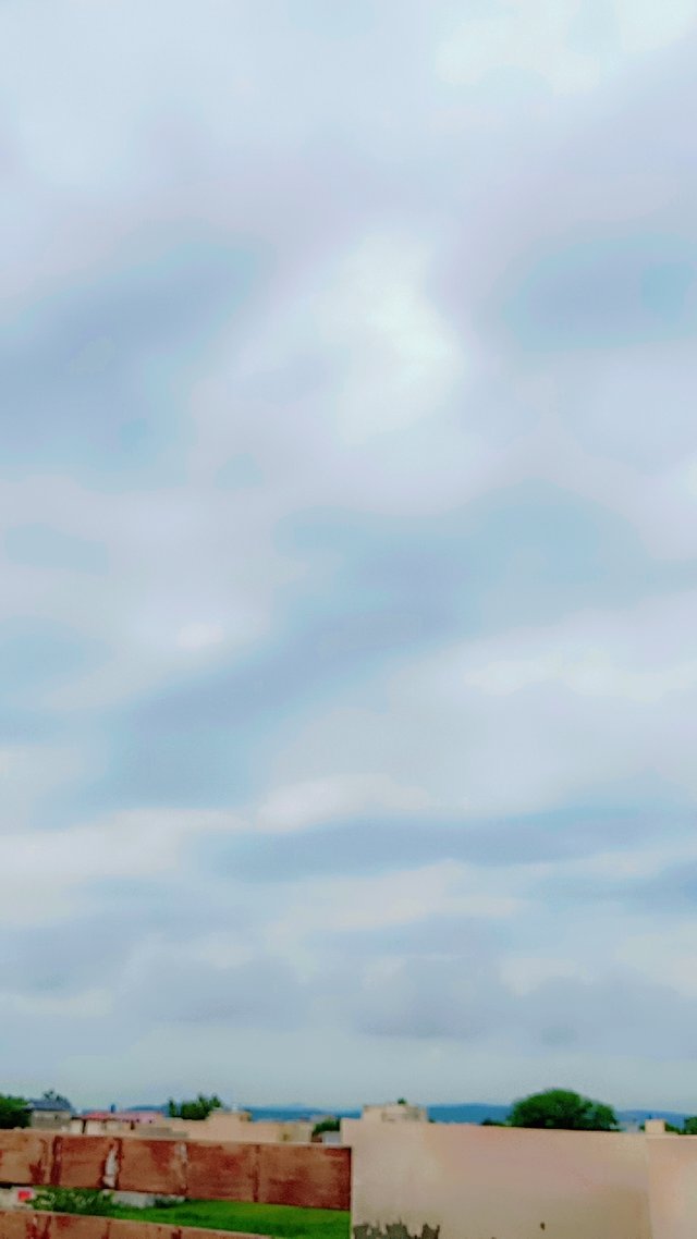 1000470253.jpg