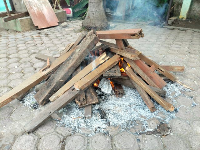 100.jpg