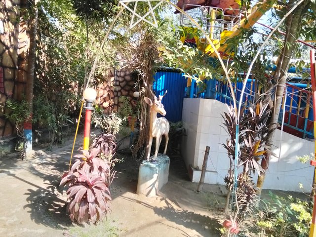 IMG20241227134959.jpg