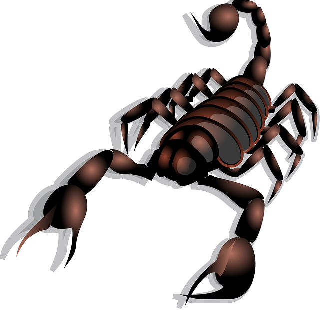scorpion-23158_640.png