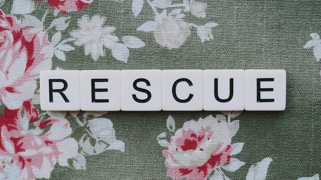 rescue-5339740_1280.jpg