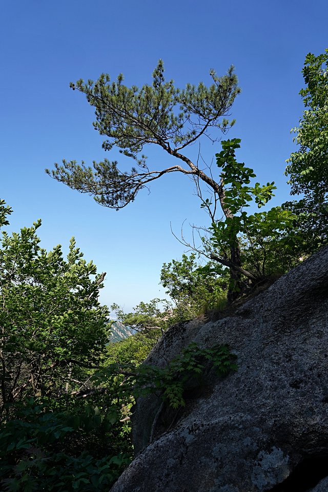 b-DSC04409.JPG