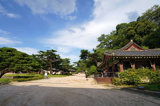 b-DSC00652.JPG