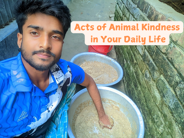 Week _14_ Acts of Animal Kindness in Your Daily Life_20241230_205601_0000.png