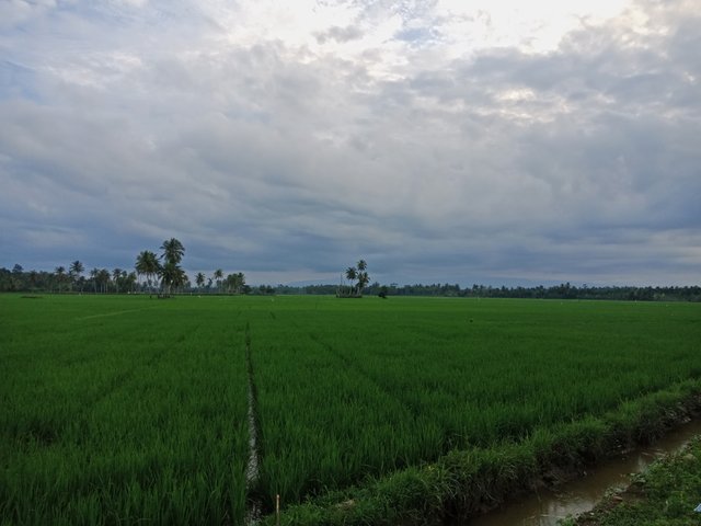 IMG20221222173517.jpg