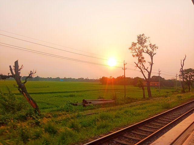 IMG_20250506_194628.jpg