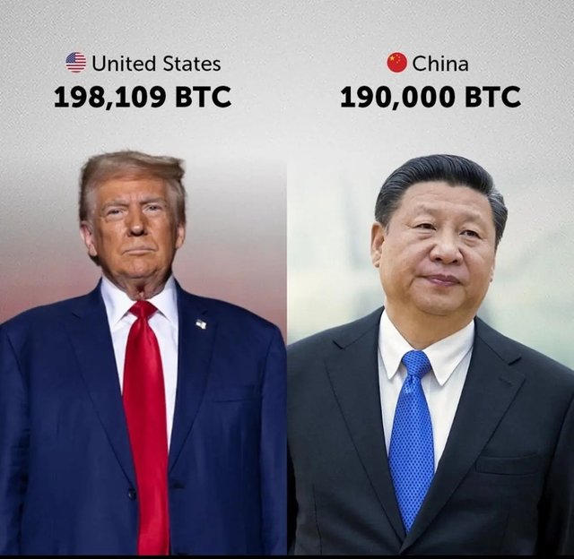 3938d9bc5569f8210ea6e358e1baf78b.jpg